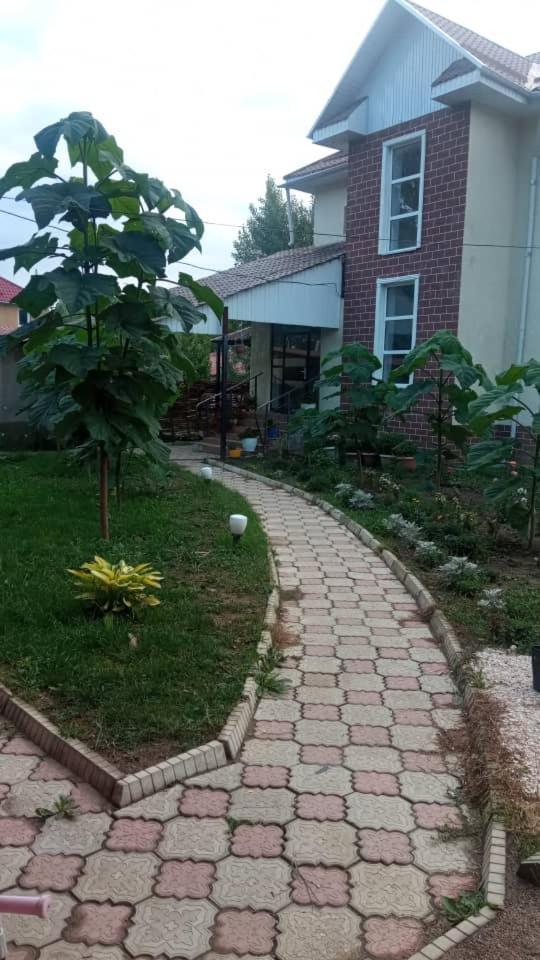 Turan Guesthouse Karakol Dış mekan fotoğraf